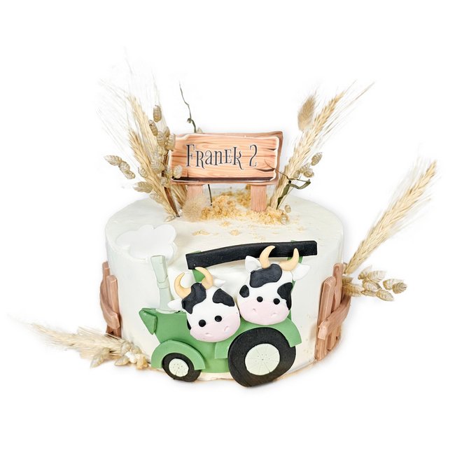 Torty_dla_dzieci_029