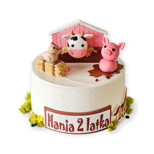 Torty_dla_dzieci_069